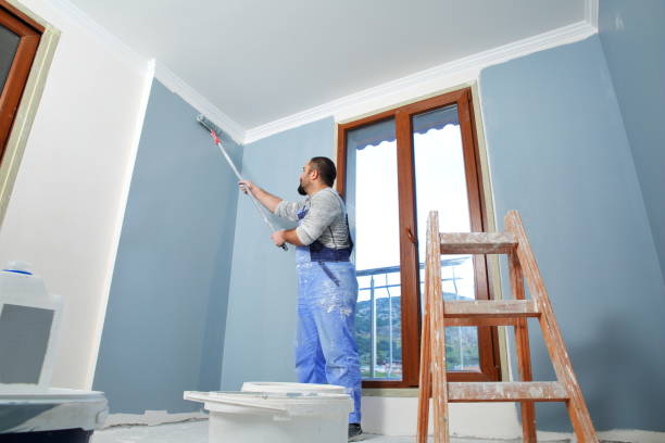 Professional Mold Removal in Mount Vernon, OH