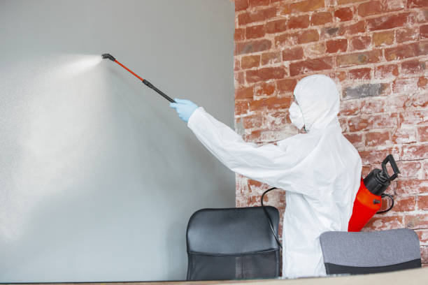 Best Air Quality Testing for Mold Spores  in Mount Vernon, OH