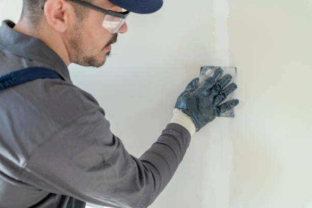 Best Comprehensive Air Testing for Mold Contaminants  in Mount Vernon, OH
