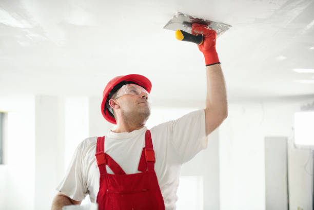 Best Attic Mold Removal  in Mount Vernon, OH
