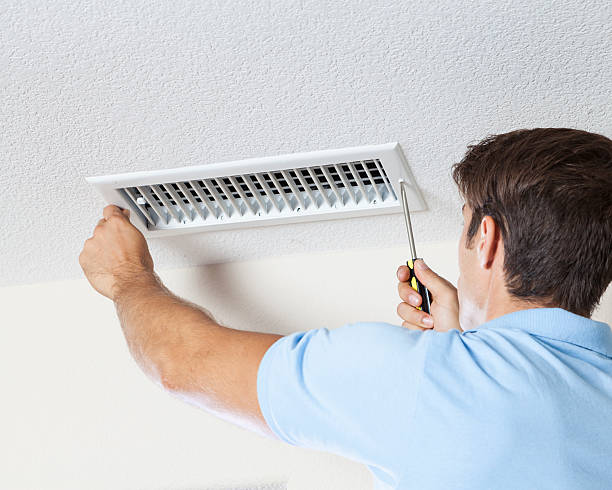 Best Mold-Related Health Consultation  in Mount Vernon, OH